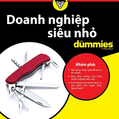 Doanh Nghiệp Siêu Nhỏ (for Dummies)
