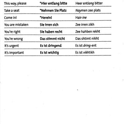 The Penguin German Phrasebook (Phrase Book, Penguin)