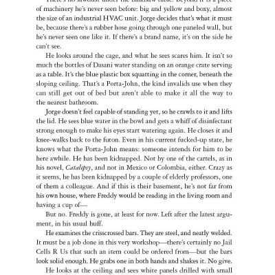 Holly - Stephen King