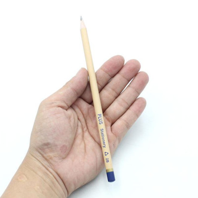 Bút Chì Gỗ 2B Plus 06-V010