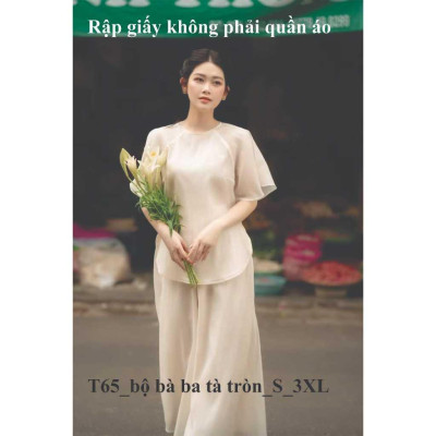 Rập giấy A0 bộ ragland cánh tiên mã T65 - bản vẽ