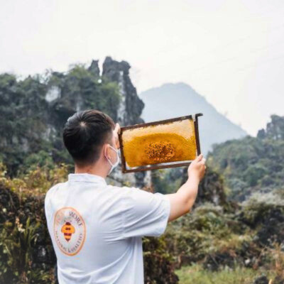 Combo Mật ong rừng Hoa Miền Núi - 100% mật ong chín Honimore 990g