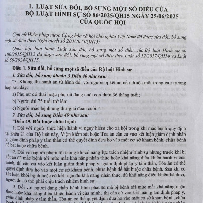 Bộ Luật Hình Sự Năm 2015 ( Sửa Đổi, Bổ Sung Năm 2017, 2025 )