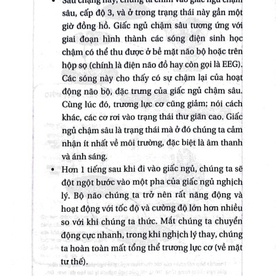 Ngủ Ngon Mỗi Đêm, Sống Khỏe Mỗi Ngày - Bí Mật Phía Sau Một Giấc Ngủ Chất Lượng