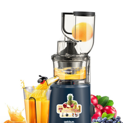 Máy ép chậm Goldsun GFJ4501 Hàng chính hãng - Bảo hành 12 tháng