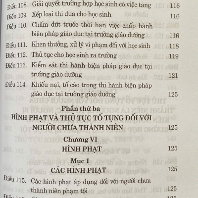 Luật Tư Pháp Người Chưa Thành Niên ( Sửa Đổi, Bổ Sung Năm 2025)