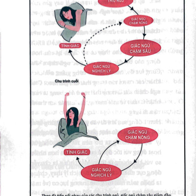 Ngủ Ngon Mỗi Đêm, Sống Khỏe Mỗi Ngày - Bí Mật Phía Sau Một Giấc Ngủ Chất Lượng