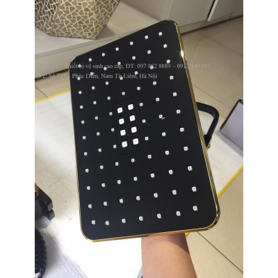 Vòi Sen đồng điện tử đen vàng KB7749