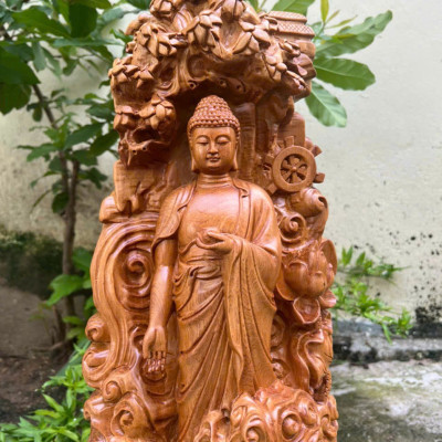 Tượng phật thích ca gỗ bách xanh kt cao 51×19×18cm 