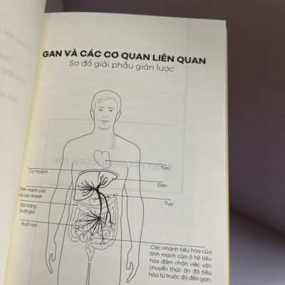 GAN ƠI LÀ GAN - Gabriel Perlemuter – Huy Minh dịch – Nhã Nam 