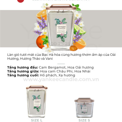 Nến ly vuông Elevation size L - Exotic Bergamot (552g)