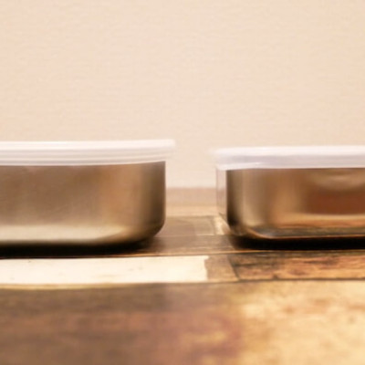 Hộp inox đựng thực phẩm có nắp đậy an toàn Echo - hàng nội địa Nhật Bản (#Made in Japan)