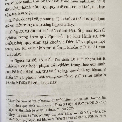 Luật Tư Pháp Người Chưa Thành Niên ( Sửa Đổi, Bổ Sung Năm 2025)