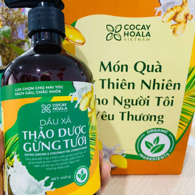 Dầu gội thảo dược gừng dừa Cocayhoala hỗ trợ trị gàu, hết ngứa, dung tích 440g-95% thành phần từ gừng tươi hữu cơ còn nguyên xơ gừng, hỗ trợ trị rụng tóc, kích thích mọc tóc vượt trội, an toàn cho mẹ bầu mẹ sau sinh