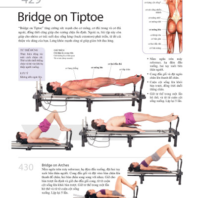 501 Bài Tập Giảm Cân Và Giữ Dáng