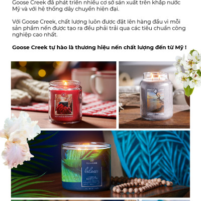 Nến ly 3 bấc sáp đậu nành Goose Creek (411g) - Pink Beach