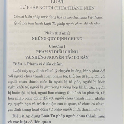 Luật Tư pháp người chưa thành niên năm 2024