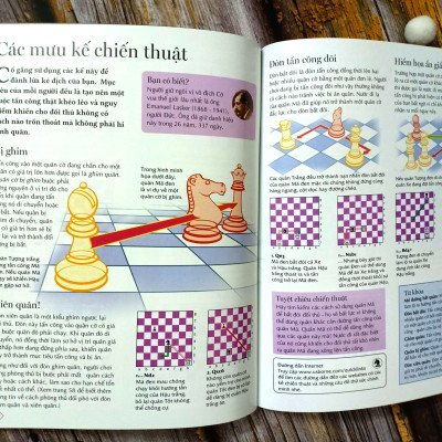 Cờ Vua Những Bước Đi Đầu Tiên Của Kiện Tướng