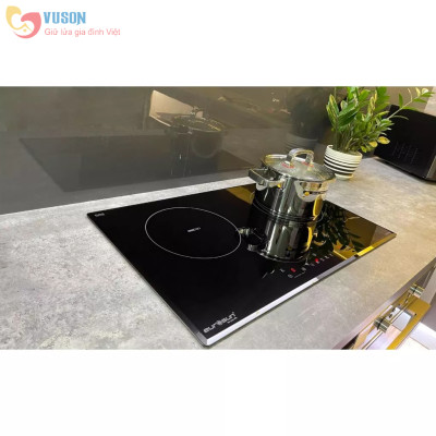 Bếp Từ Eurosun EU-T256MAX - Hàng chính hãng