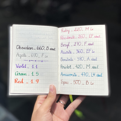 Bút Mực Lamy Safari (Apple Green) 013