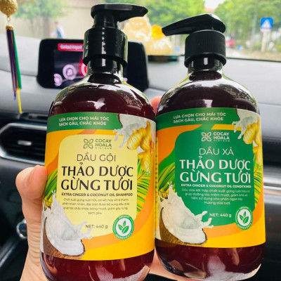 Dầu gội thảo dược gừng dừa Cocayhoala hỗ trợ trị gàu, hết ngứa, dung tích 440g-95% thành phần từ gừng tươi hữu cơ còn nguyên xơ gừng, hỗ trợ trị rụng tóc, kích thích mọc tóc vượt trội, an toàn cho mẹ bầu mẹ sau sinh
