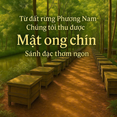 Combo Mật ong rừng Phương Nam 100% mật ong chín Honimore 990g