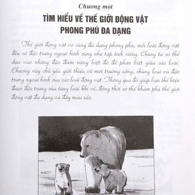 Vẽ Truyện Tranh Phong Cách Nhật Bản - Tạo Hình Và Bối Cảnh Truyện Tranh Hoạt Hình