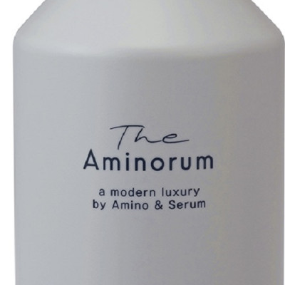 Dầu Gội Phục Hồi Tóc Gãy Rụng Hư Tổn Salon Link The Aminorum Shampoo (400 mL)