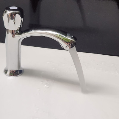 Vòi Lavabo Lạnh Eurolife EL-LL100
