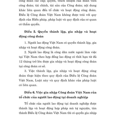 Luật công đoàn năm 2024 (sửa đổi, bổ sung năm 2025)