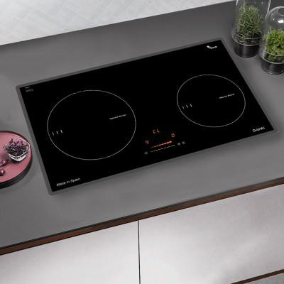 Bếp từ Dann DS-IB888 SP - Hàng chính hãng