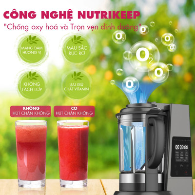 Máy xay sinh tố công suất lớn 800W Mishio - Hàng chính hãng