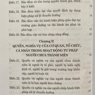 Luật Tư Pháp Người Chưa Thành Niên ( Sửa Đổi, Bổ Sung Năm 2025)