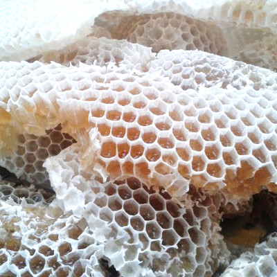 Nến Sáp Ong 65 Giờ Kèm Dĩa Gỗ Dừa 10cm : Khử Mùi Hôi Phòng Kín, Làm Sạch Không Khí, Thơm Nhẹ Mùi Mật Ong - HÀNG CHÍNH HÃNG