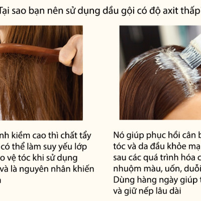 Dầu gội đầu cao cấp BRITISH M Kompucha Shamboo ngăn gãy rụng, hỗ trợ dễ mọc tóc, giảm hói dùng được cho nam nữ 750ml