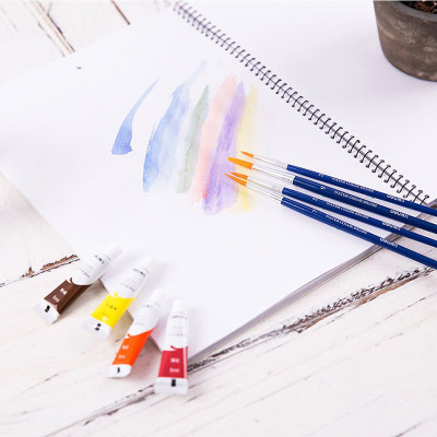 Bộ 4 Cọ Vẽ Chuyên Nghiệp Deli Dùng Cho Màu Nước/Bột/Sơn Acrylic