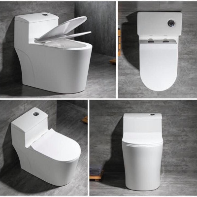 Bồn cầu 1 khối  C8020