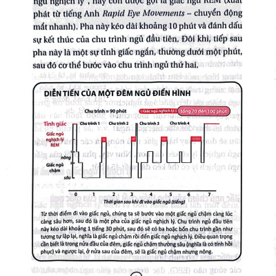 Ngủ Ngon Mỗi Đêm, Sống Khỏe Mỗi Ngày - Bí Mật Phía Sau Một Giấc Ngủ Chất Lượng