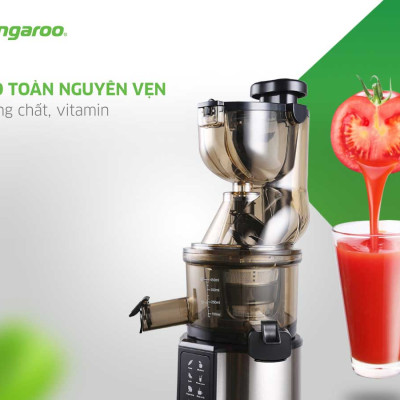 MÁY ÉP TRÁI CÂY KANGAROO KG200SJD2 (MÁY ÉP CHẬM 665ml - 200W) Hàng Chính Hãng