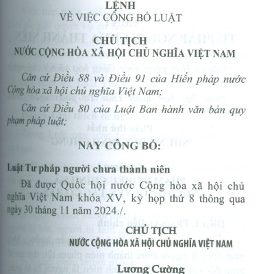 Luật Tư Pháp Người Chưa Thành Niên Năm 2024