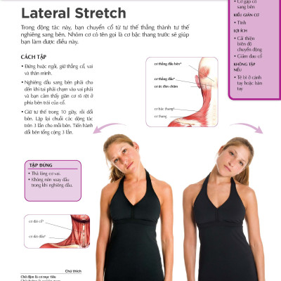 Giãn Cơ Bắp Thư Giãn Giảm Đau Nhức