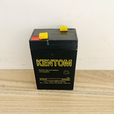 Bình ắc quy cho đèn sạc, xe đồ chơi trẻ em 6V 4.5AH