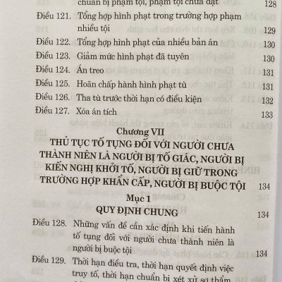 Luật Tư Pháp Người Chưa Thành Niên ( Sửa Đổi, Bổ Sung Năm 2025)