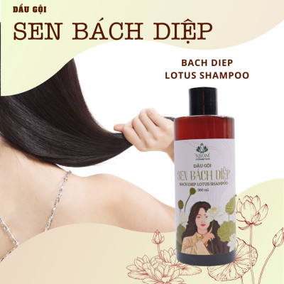 Dầu Gội Sen Bách Diệp Dầu Gội Kích Mọc Tóc Giảm Gãy Rụng