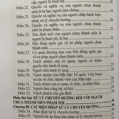 Luật Tư Pháp Người Chưa Thành Niên