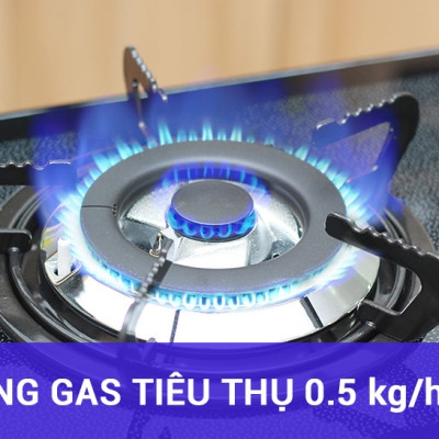 Bếp Ga Âm Rinnai RVB-2BG(D)N - Đen- Hãng chính hãng