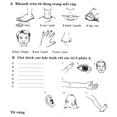 Từ Vựng Tiếng Anh Thực Hành
