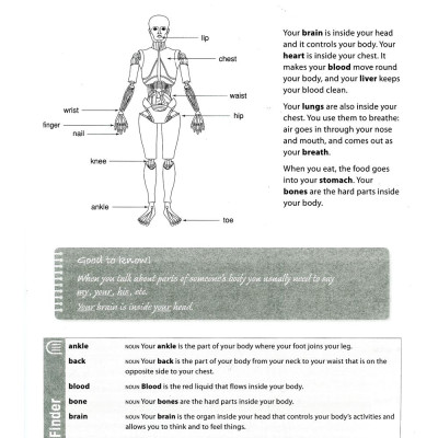 Work On Your Vocabulary A2 - Pre-Intermediate (Tái Bản)
