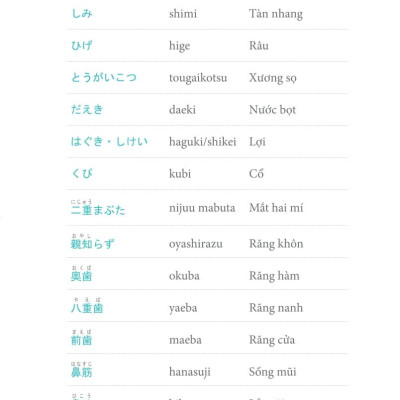 3000 Từ Vựng Tiếng Nhật Theo Chủ Đề