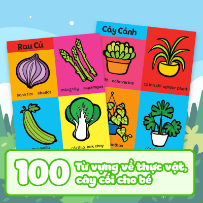 My First 100 Plants - Thế giới thực vật